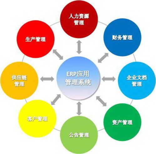 上海企業(yè)軟件開發(fā) 機(jī)遇、挑戰(zhàn)與發(fā)展趨勢(shì)