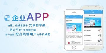 企業(yè)軟件開發(fā) 為企業(yè)帶來(lái)的核心價(jià)值